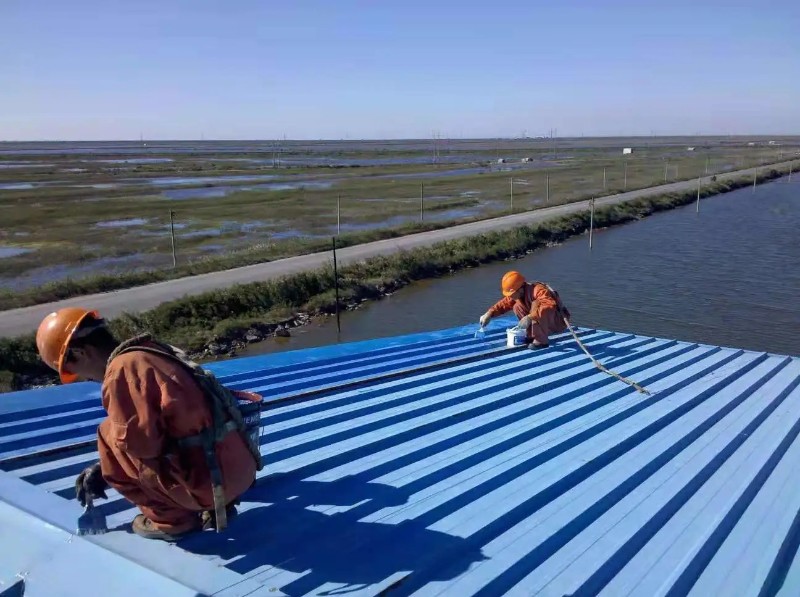 宁津钢结构屋面漏水原因